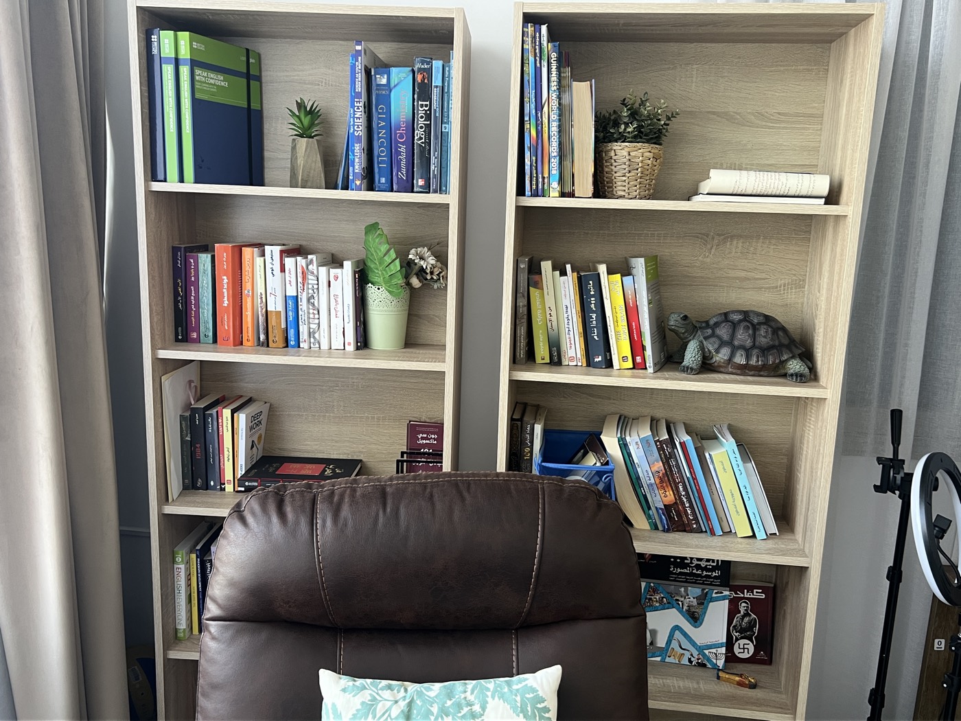 Tarek's personal library and bookshelves